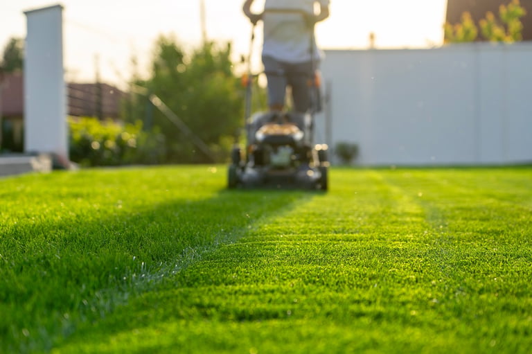 Lawn mowing and maintenance in a home garden