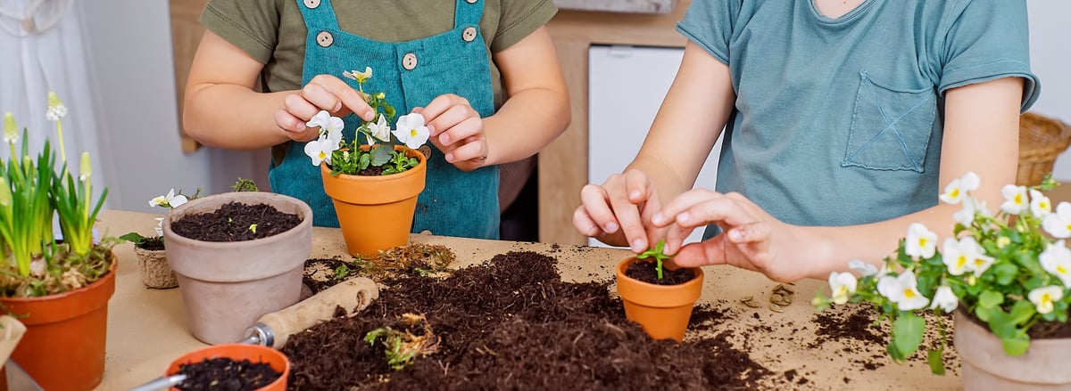 Two people planting flowers in small pots on a table with soil and various plants.