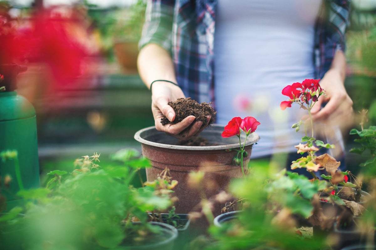Young couple in greenhouse working with flowers